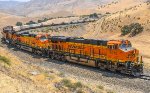 BNSF 4216 E at Tunnel 2